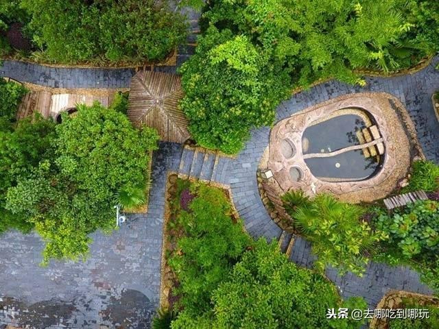 88抢郴州莽山森林温泉泡高空无边温泉赏莽山观醉美日落云海